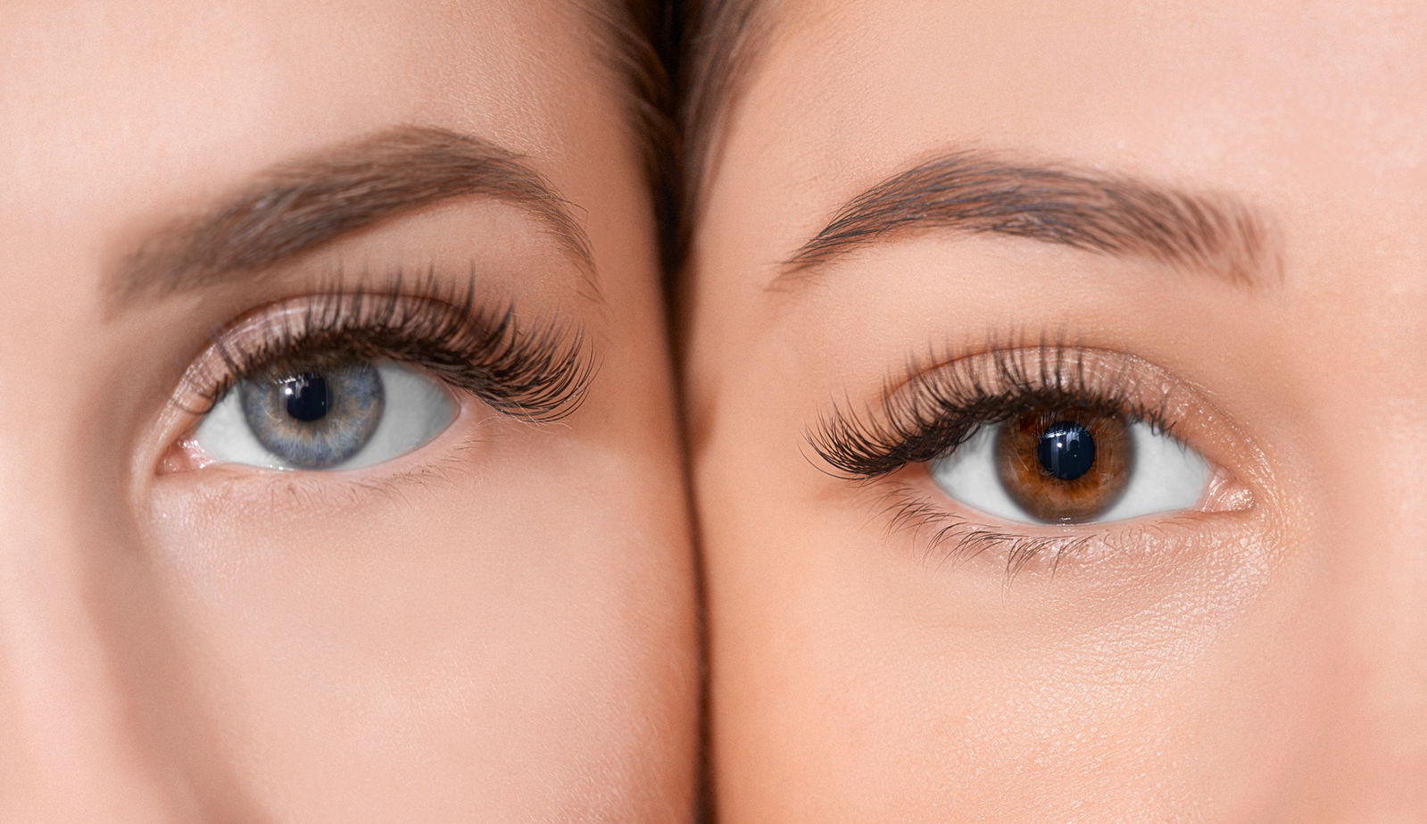 Powderbrows: schattierte Augenbrauen, natürlich bis intensiv.